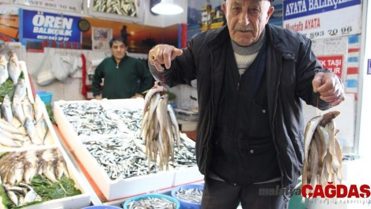 Mezgit fiyatı rekora koşuyor