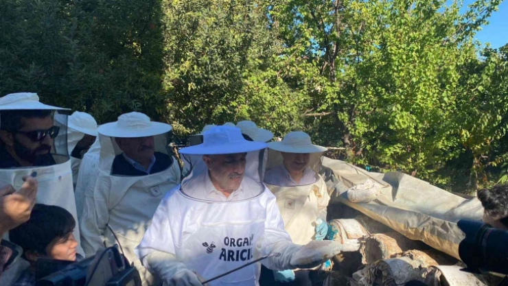 Milletvekili Arvas karakovan bal hasadı yaptı