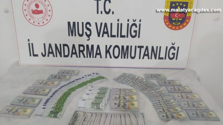 Muş'ta 2 milyon TL'lik sahte döviz ele geçirildi
