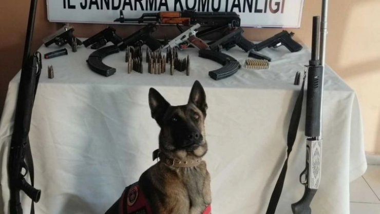 Muş'ta silah kaçakçılığı operasyonunda 4 kişi gözaltına alındı