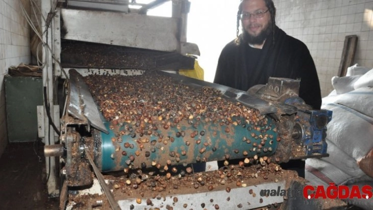 Musevilerin Hamursuz Bayramı'nda tüketecekleri fındık yağı Afyonkarahisar'dan karşılanıyor