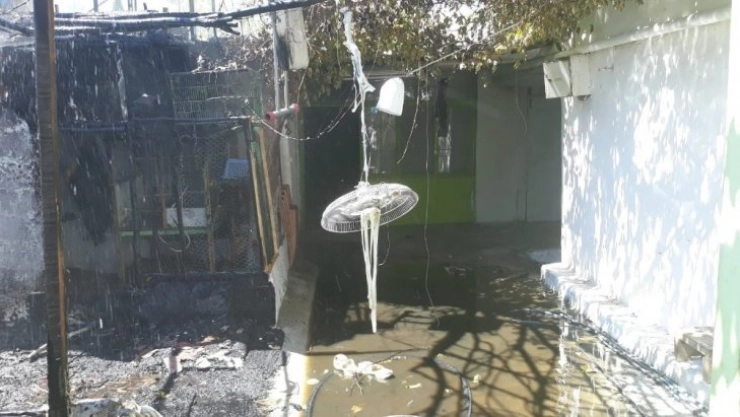 Mutfak tüpü bomba gibi patladı