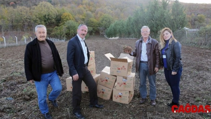 Nilüfer'de meyve yetiştiriciliği gelişecek