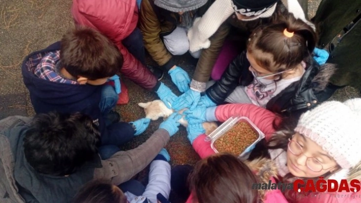 Öğrenciler evcil hayvan parkını gezdi