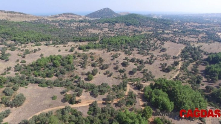 oliVelo için başvurular başladı