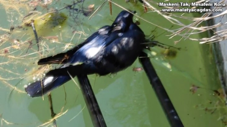 Önce kurtardı, sonra Güzelim ne oldu sana diye sevdi
