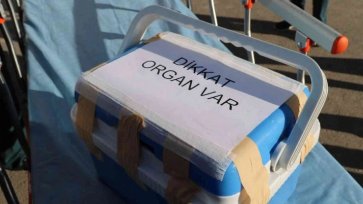 Organ nakli sayesinde 8 kişi hayata tutundu