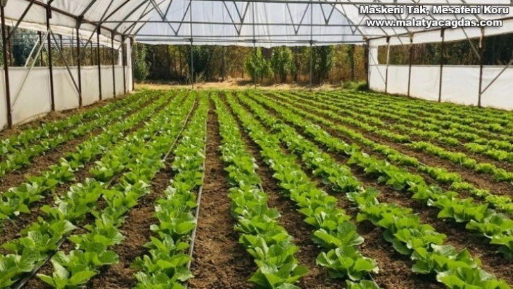 Organik Tarım Desteklemeleri müracaatları başladı