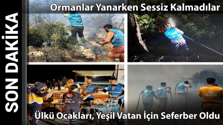 Ormanlar İçin Tek Yürek: Ülkü Ocakları Sahada