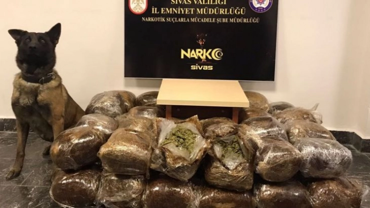 Otobüste 57 kilo 300 gram esrar ele geçirildi