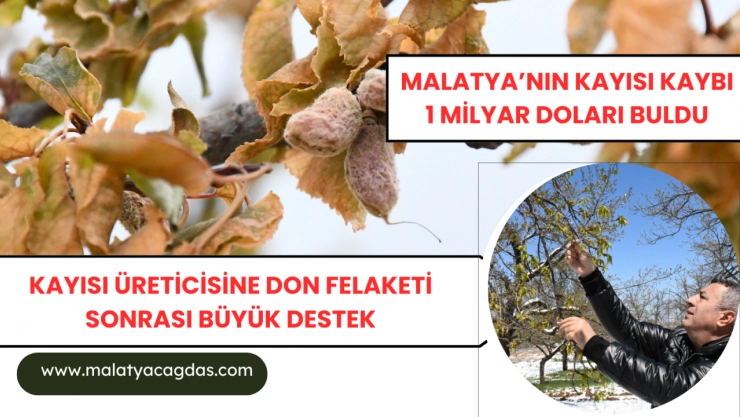 Özcan: ''Devletimizin Yanımızda Olması Üretimin Devamlılığı İçin Kritik''