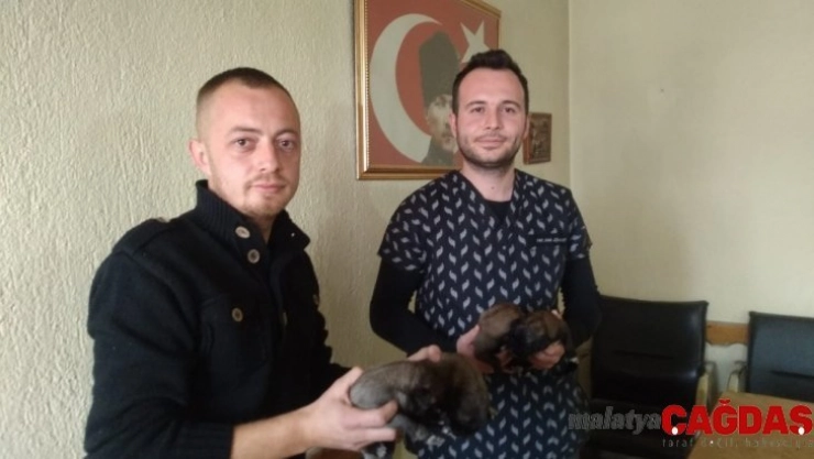 (Özel) 4 yavru köpeği çuvala koyup çöpe attılar