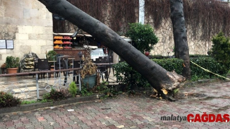 (Özel) Çatısına ağaç düşen 234 yıllık tarihi sebil zarar gördü