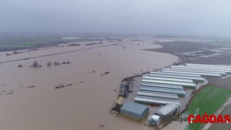 (Özel) Hırsızlar sele sebep oldu...Binlerce dönüm ekili alan ve 2 bin boğa sular altında kaldı