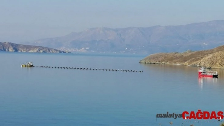 Paşalimanı'ndaki midye çiftliğinin ruhsatı iptal edildi
