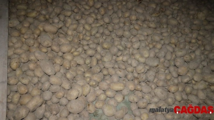 Patates üreticisini sevindirecek gelişme