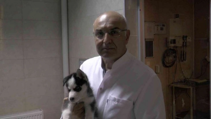 Pet hayvanlarında her tüy dökülmesi hastalık değil