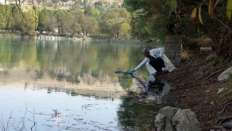 Pikniğe giden öğrenciler gölette kadın cesedi buldu