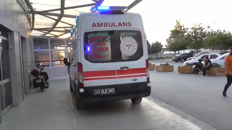 Plajda çıkan kavgada 6 kişi yaralandı