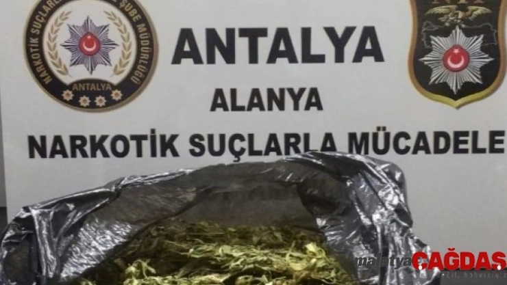 Polisin şüphe üzerine durdurduğu araçtan esrar çıktı