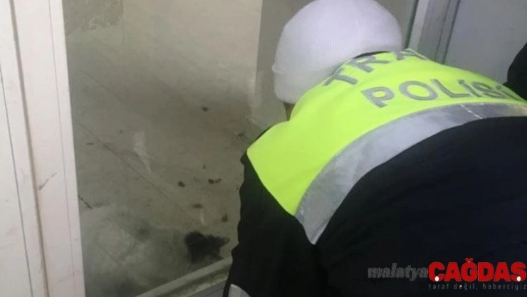 Polisler mahsur kalan yavru kediyi besledi