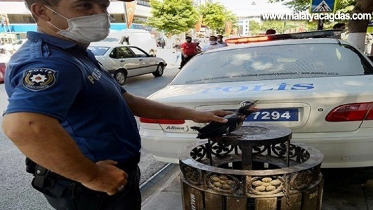 Polisten Kargaya şefkat eli