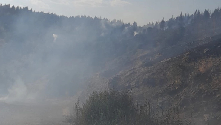 Pütürge'de Orman Yangını: Ekipler Seferber Edildi