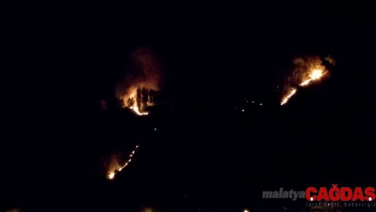 Rize'de 4 ayrı noktada örtü yangını