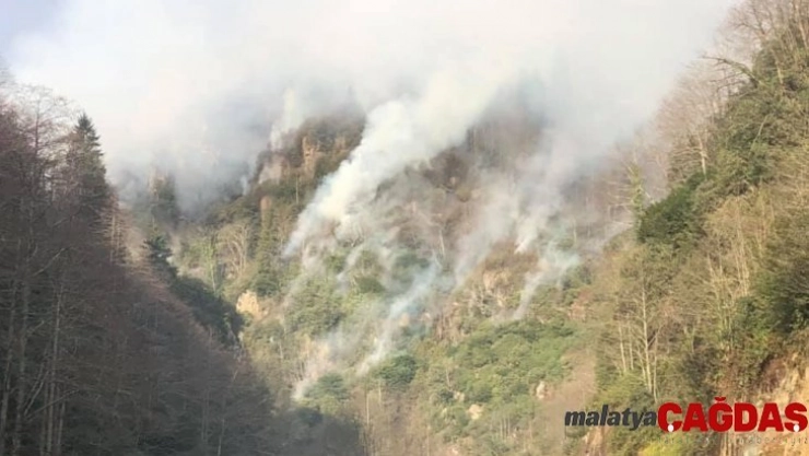 Rize'nin Ardeşen ilçesindeki örtü yangını 3 gündür aralıksız devam ediyor