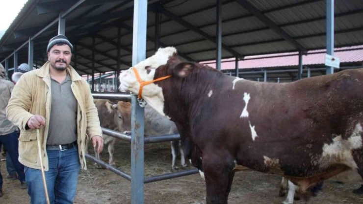 Şahin 21 bin liraya satıldı