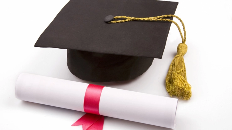 Sahte Belgeyle E-İmza Vurgunu: 197 Şüpheli Yakalandı, Suç Örgütü Çökertildi