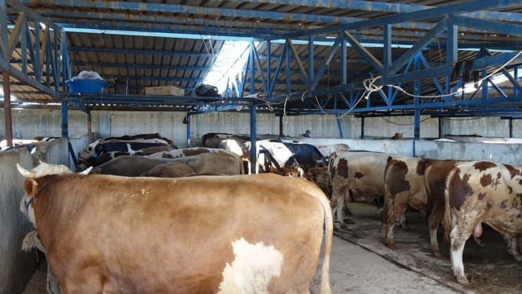 Uzmanından kritik uyarı