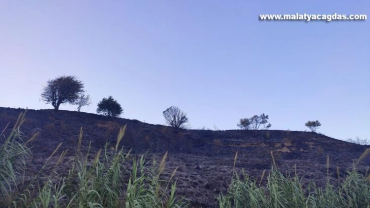 Samandağ'da bahçe yangını