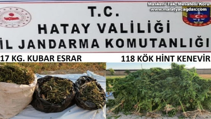 Samandağ'da jandarmadan uyuşturucu operasyonu