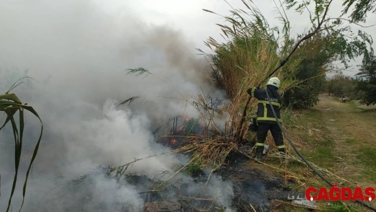 Samandağ'da sazlık yangını