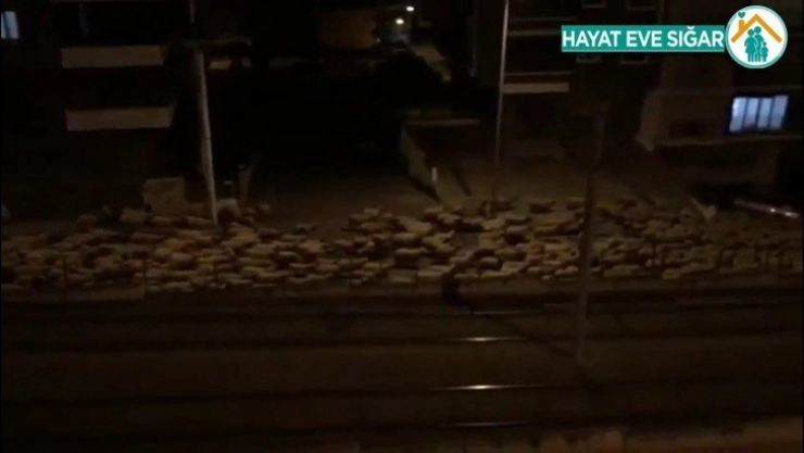 Samsun'da koyun sürüsü caddeye indi