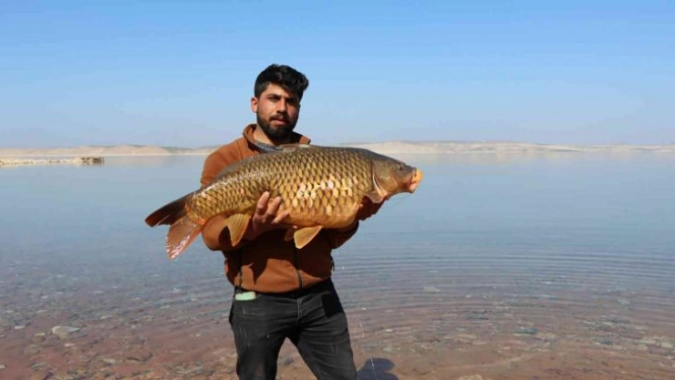 Şanlıurfa'da balık tutma yarışması renkli görüntülere sahne oldu