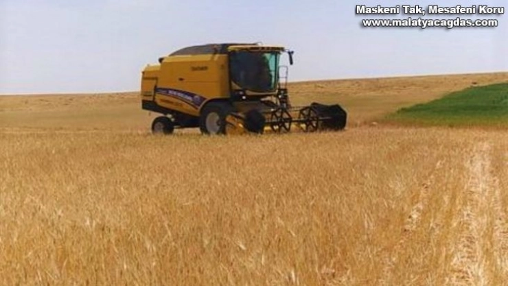 Şanlıurfa'da sezonun ilk arpa hasadı yapıldı