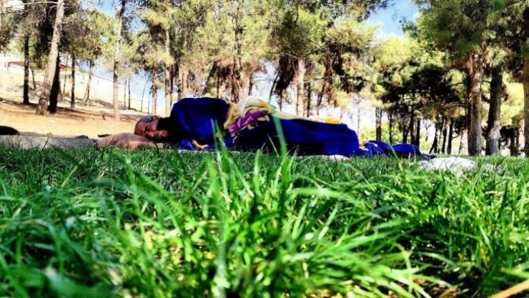 Şanlıurfa'da yürek yakan olay