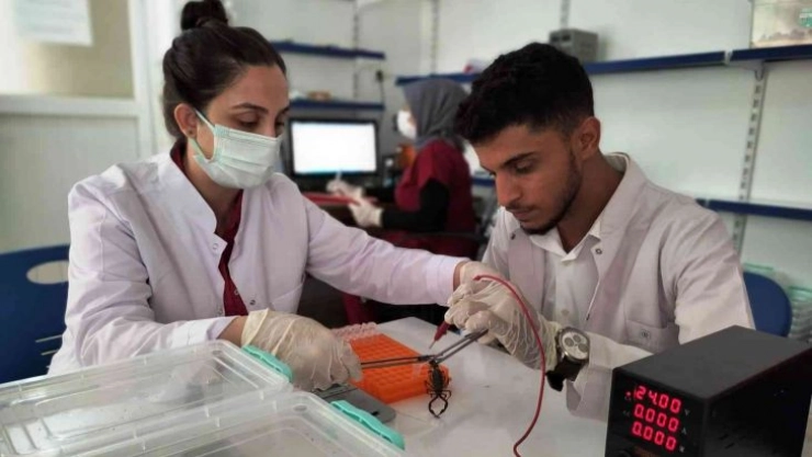 Şanlıurfa'dan ABD'ye 10 milyon dolarlık zehir ihracatı