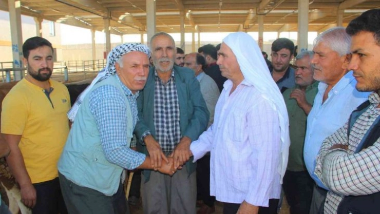 Şanlıurfa hayvan pazarlarında hareketlilik başladı