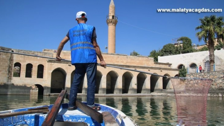 Şanlıurfa'nın saklı cenneti Halfeti'de kapsamlı temizlik