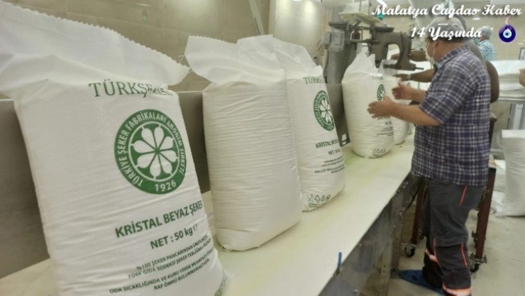 Şeker pancarının tarladan sofralara uzanan tatlı yolculuğu