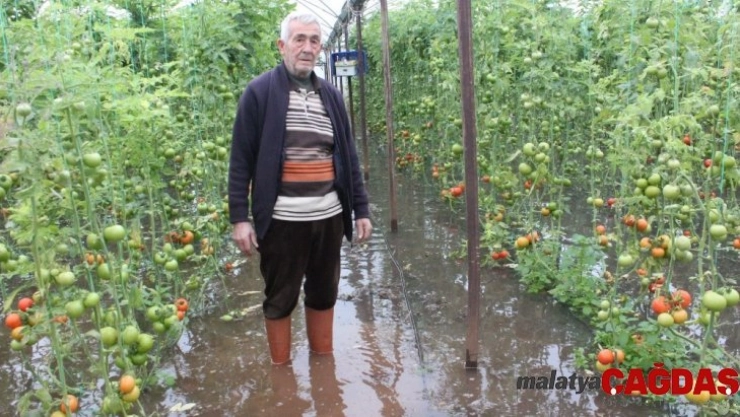 Sel Mersin'de tarım arazilerini vurdu