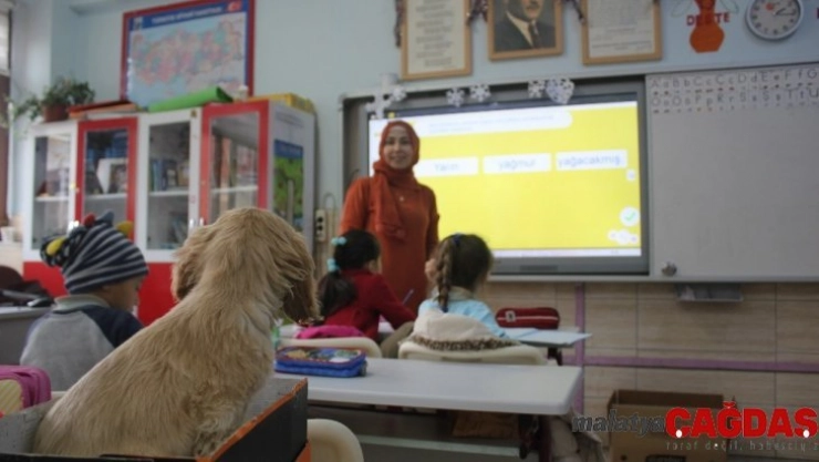 Sınıfın 32. öğrencisi 'Tarçın'