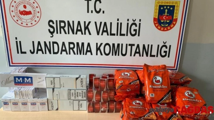 Şırnak'ta kaçakçılık ve terörle mücadele operasyonu: 63 gözaltı