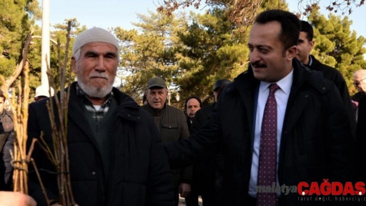 Söğüt'te 10 bin 400 sertifikalı ceviz fidanı dağıtıldı