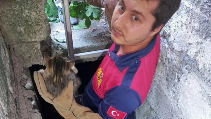 Su kuyusuna düşen kediyi itfaiye kurtardı
