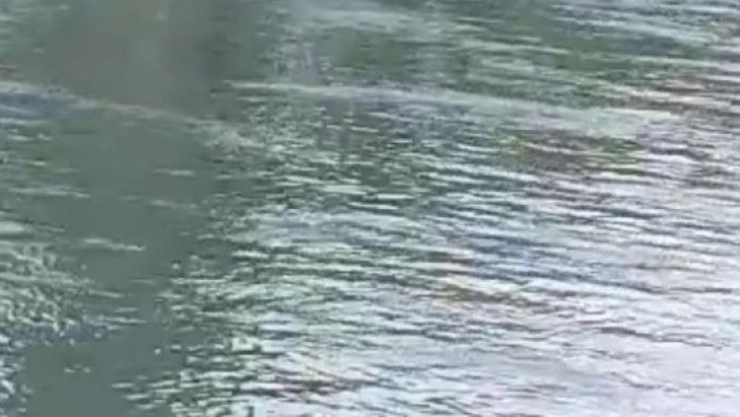 Sulama kanalına düşen kadını vatandaşlar kurtardı