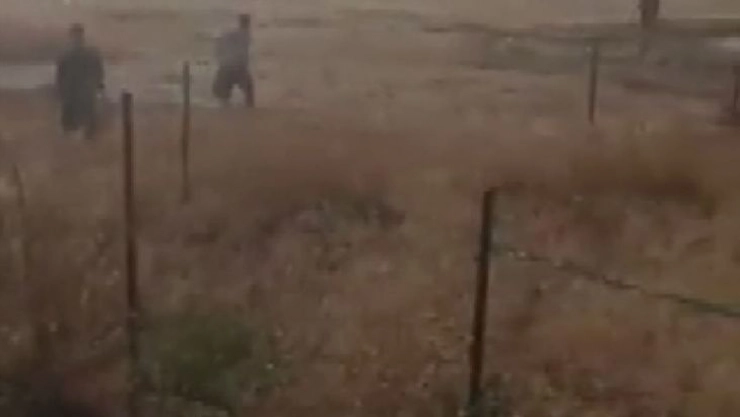 Suriye sınırından kaçak geçiş yapmaya çalışan 7 kişi yakalandı